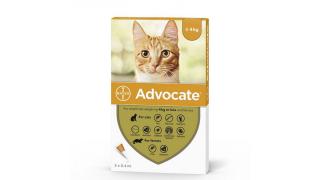 Advocate Cat 0-4 kg x 3 pipete - deparazitare externa si interna pisici