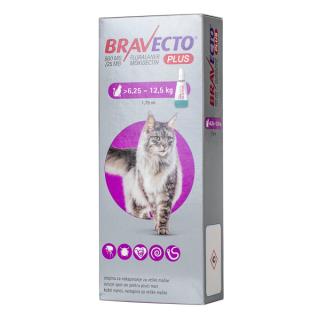 Bravecto Plus Spot-on Cat 500 mg (6.25-12.5 kg) - pipeta deparazitare externa si interna pentru pisici