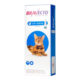 Bravecto Spot-on Cat 250 mg (2.8 - 6.25 kg)