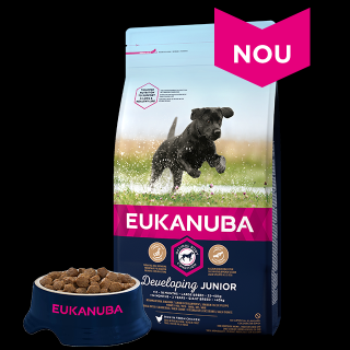 Eukanuba JUNIOR LARGE cu PUI 25-40 kg: +12-18 luni  40kg: +14 luni ,       2 ani, 12kg