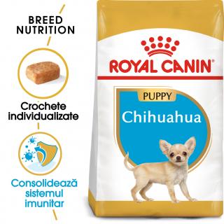 Pachet 3+1 - 66.38lei 1.5 kg Royal Canin Chihuahua Puppy hrana uscata caine junior