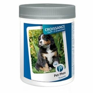 Pet Phos Special Grand Chien 100 tablete