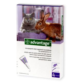 Pipeta antiparazitara pentru pisici si iepuri 4-8 kg Advantage 80 - 1 pipeta