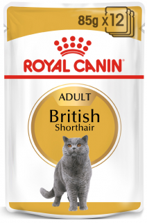 Royal Canin British Shorthair Adult hrana umeda pisica, 12 x 85 g