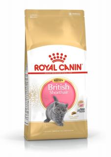 Royal Canin British Shorthair Kitten hrana uscata pisica junior, 10 kg