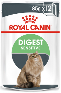 Royal Canin Digestive Care Adult hrana umeda pisica pentru confort digestiv, 12 x 85 g