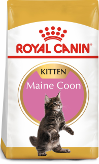 Royal Canin Maine Coon Kitten hrana uscata pisica junior, 10 kg