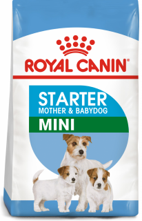 Royal Canin Mini Starter Mother  BabyDog, mama si puiul, hrana uscata caini, 1kg