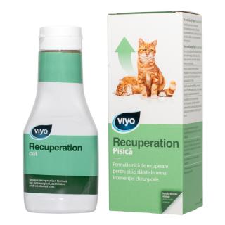 Viyo Recuperation Cat