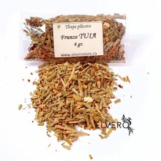 Frunze Tuia pentru fumigatii, 4 gr, Thuia Plicata, cod 1390