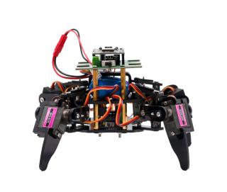 Kit de robot STEM Paianjen, Bitmi 10158