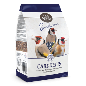 Carduelis Sticleti