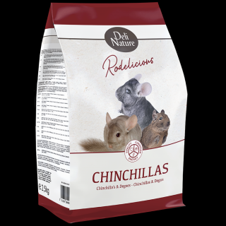 Chinchilla Rodelicoius