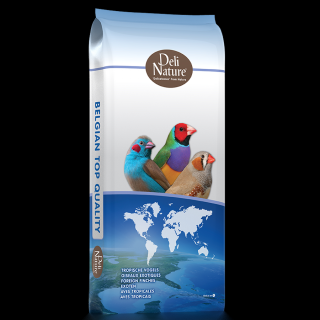 Cinteze tropicale basic