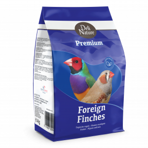 Cinteze tropicale Premium