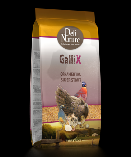 GalliX Hrana Pasari Ornamentale Super Start 4 kg