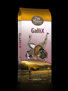 GalliX Hrana Peleti Crestere Curcani 20 kg