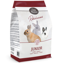 Iepuri junior Rodelicious