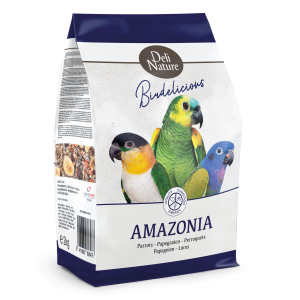 Papagali mari Amazonia