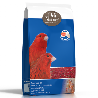Pate Canari rosii