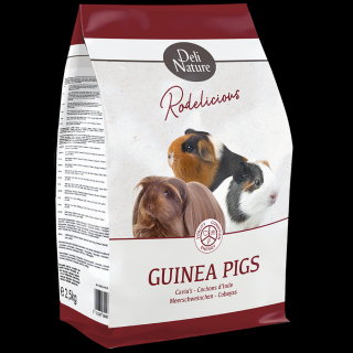 Porcusori Guinea Rodelicious