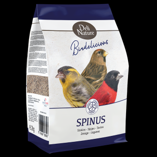 Scatii Spinus