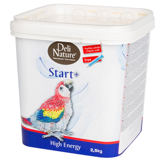 Start High Energy
