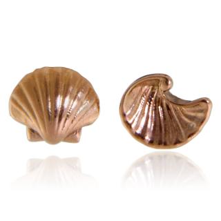 Cercei Stud Aur Roz 14k Scoici - Armonie marina