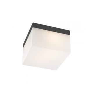 FELINAR CUBE 9441 GX53 1X9W IP65 AP.