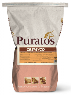 Premix Crema Vanilie Instant CREMYCO - 15 kg