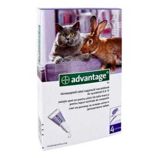 Advantage 80 Pisici si Iepuri (4-8 kg) - 4 pipete spot on