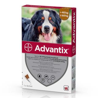 Advantix 600 (40-60kg) - o pipeta