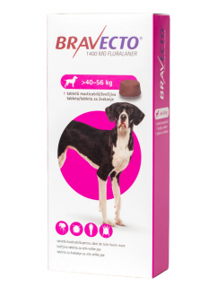 Bravecto 1400 mg (40-56 kg)  - 1 tableta masticabila