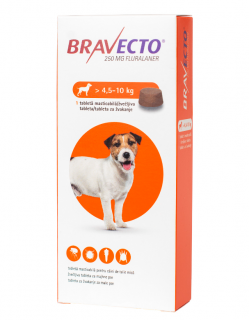 Bravecto 250 mg (4,5-10 kg)  - 1 tableta masticabila