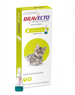 Bravecto Cat spot on 112,5 mg (1,2-2,8 kg) - o pipeta