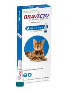 Bravecto Cat spot on 250 mg (2,8-6,25 kg) - o pipeta