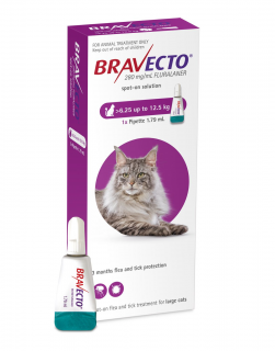 Bravecto Cat spot on 500 mg (6,25-12,5 kg) - o pipeta