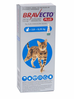 Bravecto Plus Cat spot on 250 mg (2,8-6,25 kg) - o pipeta