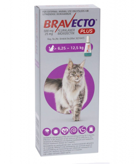 Bravecto Plus Cat spot on 500 mg (6,25-12,5 kg) - o pipeta