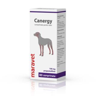 Canergy 100 mg ,   60 tablete