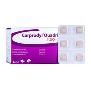 Carprodyl Quadri 120 mg  - Blister 6 tablete