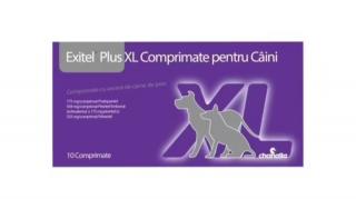 Exitel Plus XL Dog - 10 comprimate