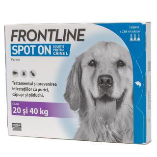 Frontline Spot On Caine L (20,  40 kg) ,   3 pipete spot-on