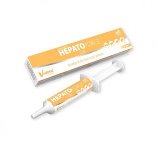 Hepato Force Gel - 30 ml