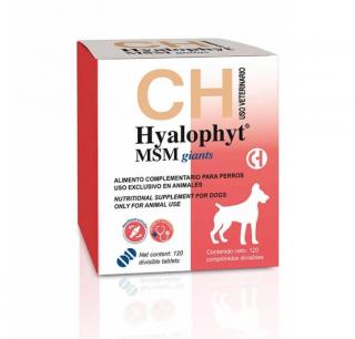 Hyalophyt MSM Talie Mare - Chemical Iberica - 120 comprimate