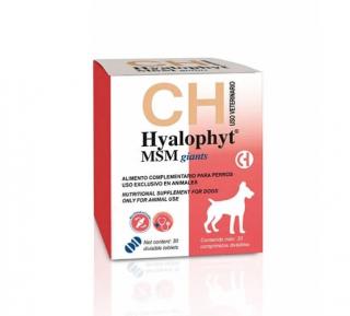 Hyalophyt MSM Talie Mare - Chemical Iberica - 30 comprimate