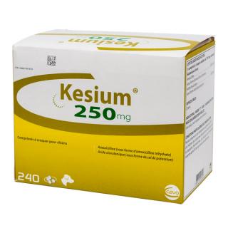 Kesium 250 mg ,   Folie de 8 comprimate masticabile