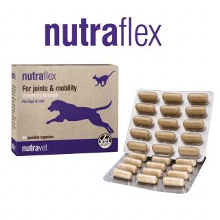 Nutraflex pentru Caini si Pisici - 60 capsule