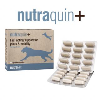 Nutraquin+ pentru Caini si Pisici - 60 capsule