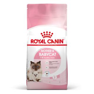 Royal Canin Mother and Babycat ,   10 kg